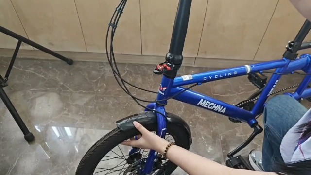 Amazon.com : MEGHNA Tandem Cruiser Bike Folding Bike 20inch Wheels