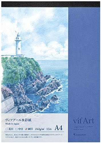 Amazon Com Maruman Vifart S304va Bloc De Dibujo 15 Hojas Arte Y Manualidades