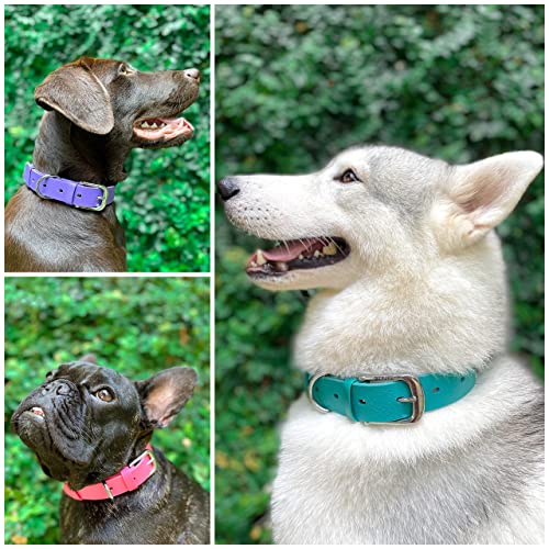 Tuff Pupper Classic Heavy Duty Dog Collar | 10X Stronger Than Leather | 100% Waterproof & Odor Proof Dog Collar | Tough Rust-Proof All Metal Hardware | Lifetime Replacement Guarantee #TOP2