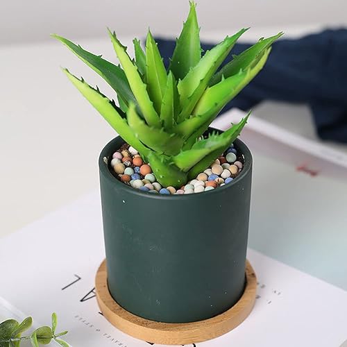 Miniatura 3 de Suelo de jardín, guijarros de arcilla, jardinería, cerámica, orquídea, rocas, drenaje, purificación de agua, decoración de cerámica, cultivo, piedra