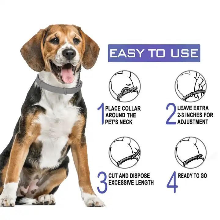 HUCHA Dog Flea & Tick Collar for Dogs | Dog Tick Remover Collar | 8 Months of Protection | Water-Resistant | Safe & Effective for All Breeds | Made with Natural Ingredients 2