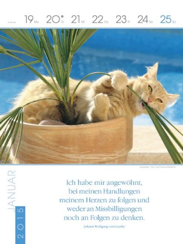 Katzen 2015: Literatur-Wochenkalender