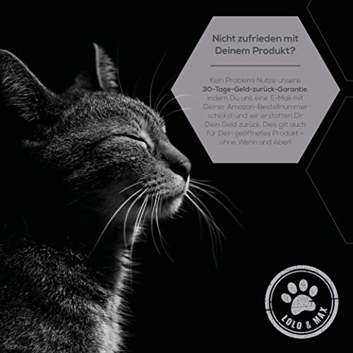 Lolo & Max - Floh- und Zeckenmittel für Katzen 100% Natürlicher Spot On - Bis zu 8 Monate Abwehr & Bekämpfung von Flöhen & Parasiten (Zecken,Milben,Läuse,Haarlinge,Wanzen) - Mittel gegen Flöhe - 40ml