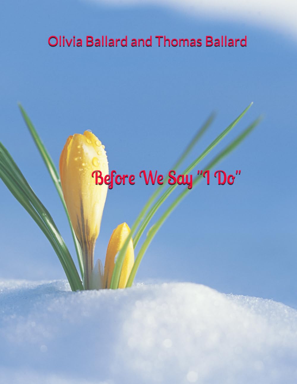 Before We Say "I Do": Christian Version