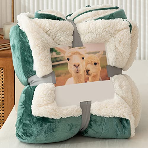 Duojidianzi uPbg ѕz 2 Ђ| tl }CNt@Co[ {A  g ӂӂ Gǂ ÓdC} n @\ [΍ ې lGʗp (150*200cm(2),B) [sAi]