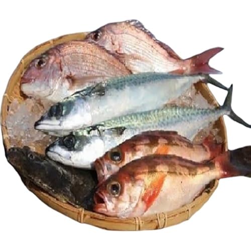 大漁まるごと海鮮セット
