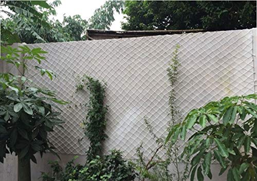 Filet en nylon pour protection de plantes et aménagement de clôtures