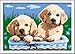 Ravensburger CreArt 27839 - Süße Hundewelpen - Malen nach Zahlen Hunde für Kinder ab 7 Jahre, Malset mit Rahmen, Pinsel und Acrylfarben, Geschenk für Mädchen und Jungen