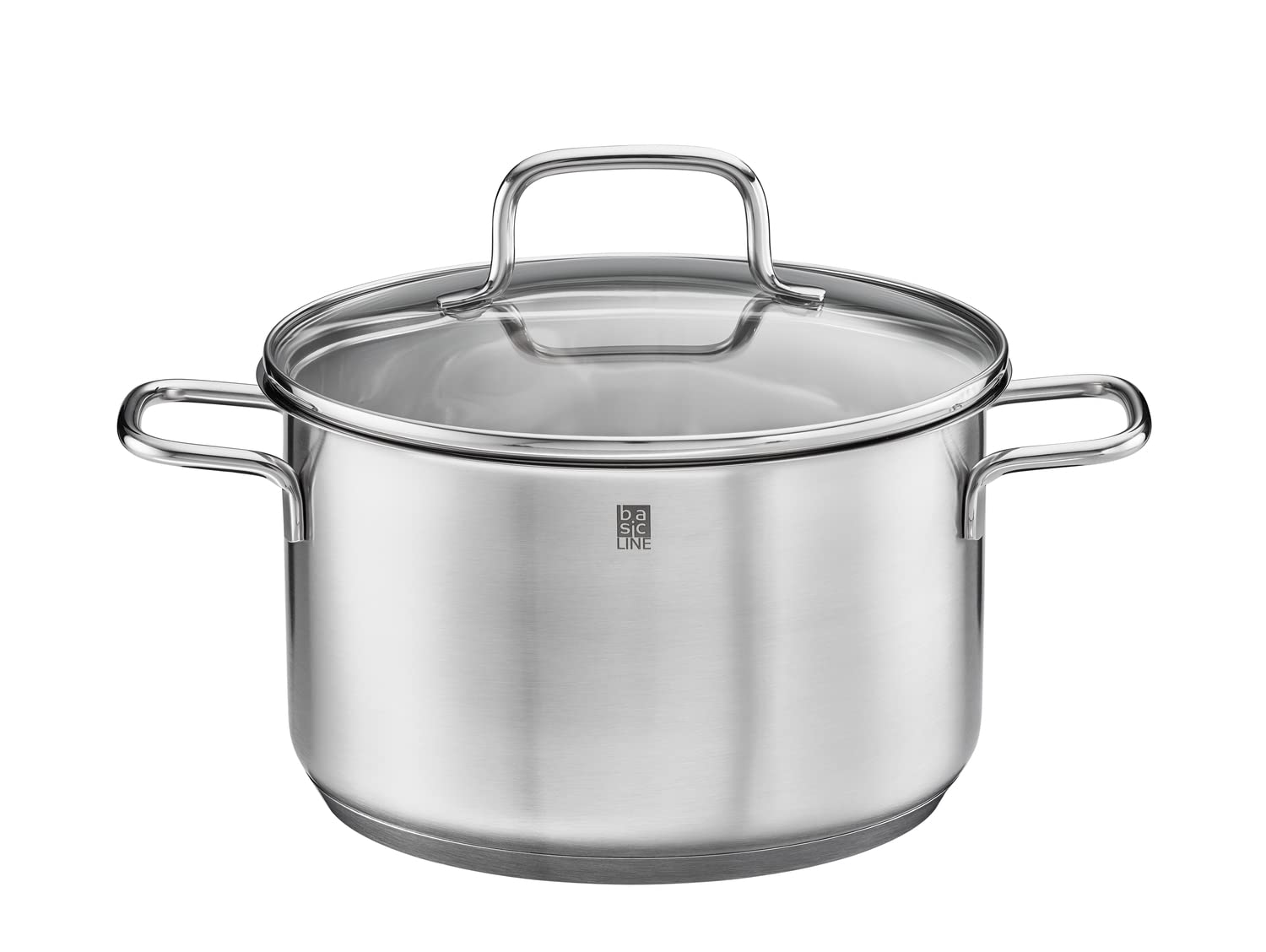 RÖSLE Basic Line Stoofpot, diameter 20 cm, universele pan van 18/10 roestvrij staal, met glazen deksel en gietrand, geschikt voor inductie, vaatwasmachinebestendig, zilver