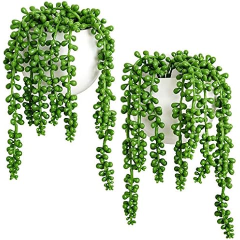 Dahey Wall Planters with Fake String of Pearls Plant Cover