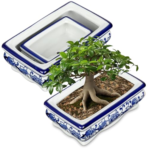 Hollyone 2er-Set Bonsai Topf Keramik Sukkulententöpfe mit Drainageloch Rechteckig Bonsaischale Pflanztopf für Zimmerpflanzen Dekorativ Blau und Weiß Blumentopf für Garten Drinnen Draußen Pflanze