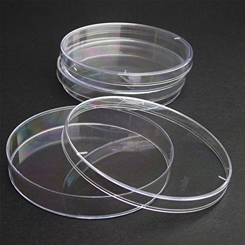 BIPEE Sterile Plastic Petri Dishes 150 x 15mm, with Lid, Pack of 10 - Thumbnail 3