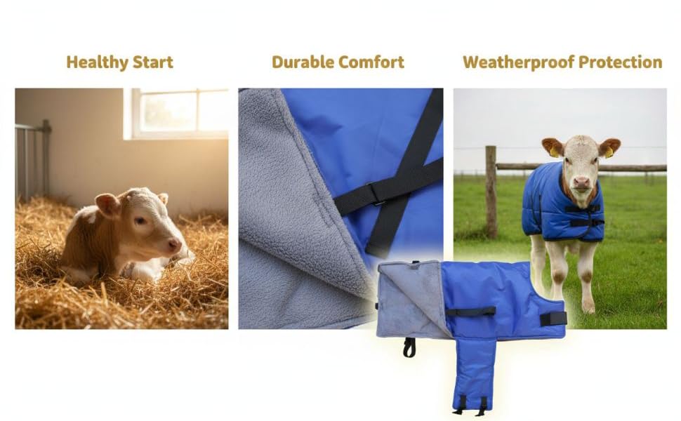 Abrigo protector de pantorrilla cortavientos con rayas reflectantes de seguridad 5