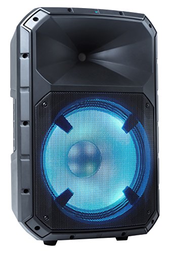 ion 500 watt total pa max