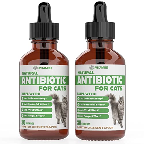 Natural Antibiotics For Cats | Cat Supplements | Cat Antibiotic | Cat Antibiotics | Cat Immune Support | Antibiotic For Cats | Cat Multivitamin | Multivitamin For Cats | 2 Pack: 60 Servings Total #TOP18