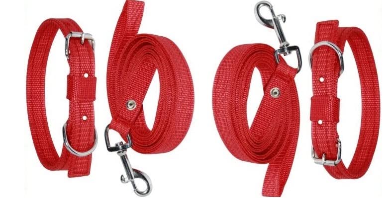 G T L Combo (Pack of 2) Nylon 1 inch Red Dog Belt/Dog Collar Belt 1.5m-2m lengthy Dog Collar & Leash for All Type of Breed Dogs. (B09SDZWH8F) Amazon Price History, Amazon Price Tracker