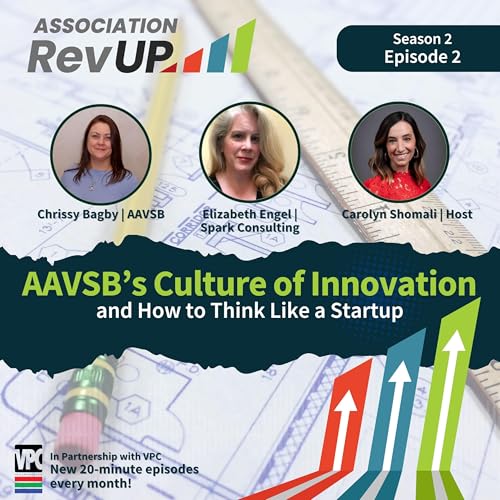 Page de couverture de AAVSB's Culture of Innovation and How to Think Like a Startup (S2.E2)