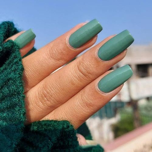 Image of DeBelle Gel Nail Lacquer Asparagus Fern (Sea Green) 8ml Enriched With Natural Seaweed Extract, Cruelty Free, Toxic Free (Glossy Finish)