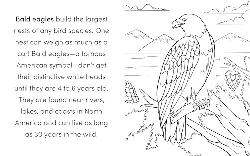 Bird Book for Kids: Coloring Fun and Awesome Facts (A Did You Know? Coloring Book) - Image 4
