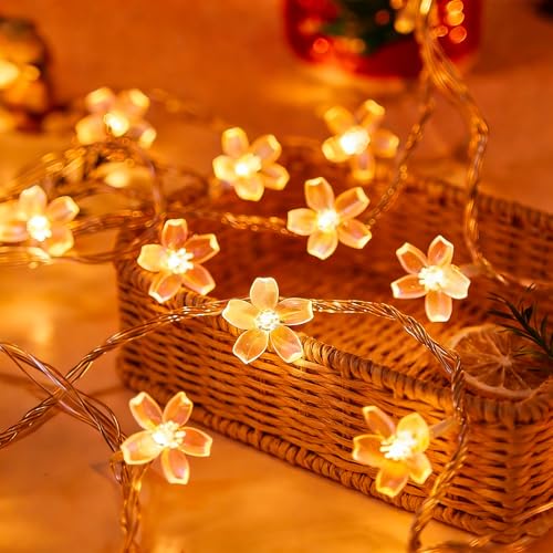 Fairy Flower String Lights Indoor Bedroom Decor, 33 ft 100