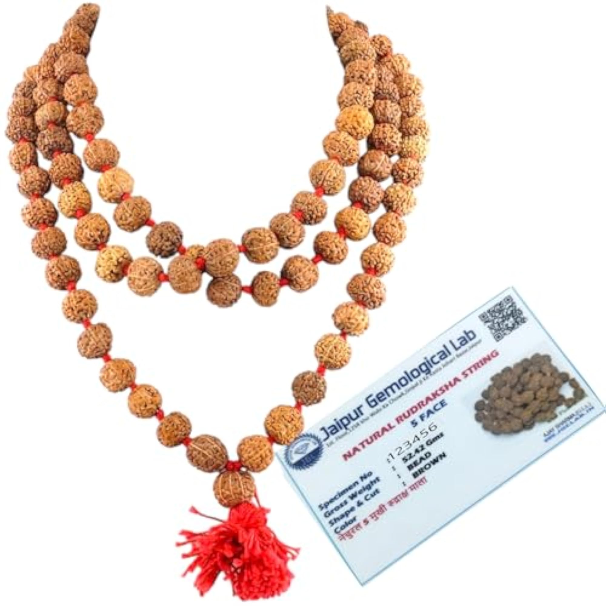 Jaipur Lab Certified 5 Mukhi Rudraksha Maala