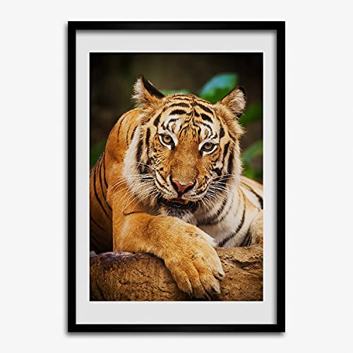 Cadre en bois moderne Tigre du Bengale Tulup 50x70 cm pour peinture