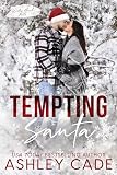Tempting Santa: An Age Gap, Snowed In, Holiday Novella (Willow Brook Falls Book 4)