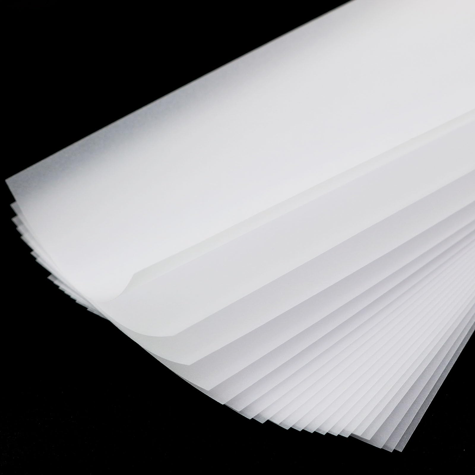 Lind Kitchen 1 Pack 420 x 70mm x 20 Making Insect Specimen Tools Kit Wings Pressing Paper Insect Pins Insect Pinning Board Insect Display Case Insect Collection for Bug Hobbyist Biology Projects