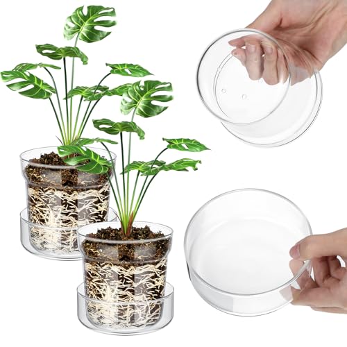 Baderke 4 Inch Glass Plant Pots with Saucer, Flower Nursery