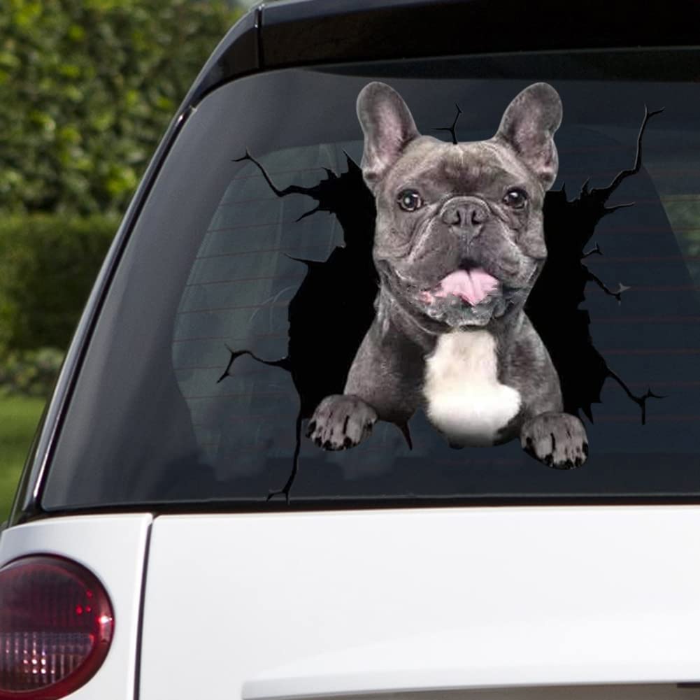 Lustige 3D Katze Hund Tür Wandaufkleber Kinrzimm... – Viceal