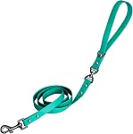 PetBonus Une laisse pour chien imperméable, 5 FT Lead d'entraînement de marche Odor Proof, pas d'angle et facile à nettoyer les laisses pour petits chiens de races moyennes (Noir)