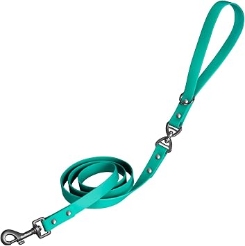 PetBonus Waterproof Dog Leash, 5 FT Odor Proof Rubber Dog Leash, No Tangle and Easy to Clean Puppy Walking Lead for Small Medium Breeds Turquoise