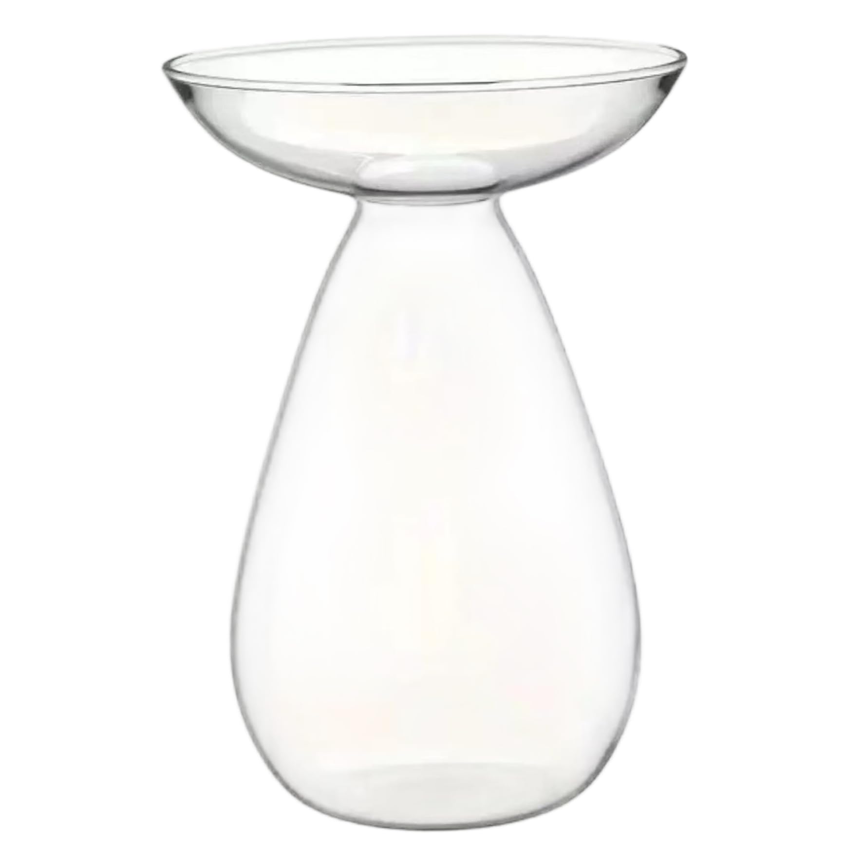 Macetas transparentes para plantas, florero de cristal transparente para semillas de aguacate, macetero para plantas hidropónicas, kit de cultivo de árboles pequeños para decoración de interiores, ho