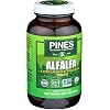 Alfalfa Pines 500 Tabs