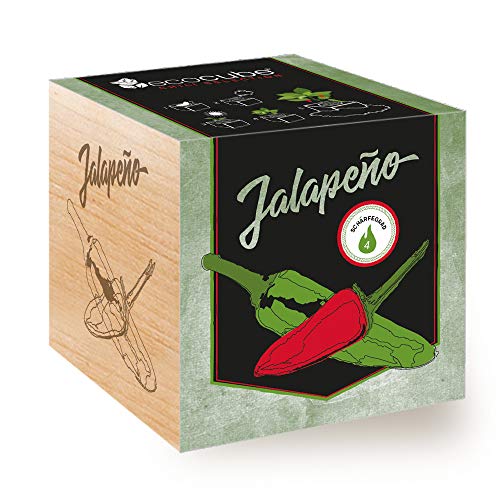 Feel Green Ecocube Chili Jalapeño, Schärfegrad: 4 (Scoville: 2.500-8.000), Nachhaltige Geschenkidee (100% Eco Friendly), Grow Your Own/Anzuchtset, Pflanzen Im Holzwürfel, Made in Austria