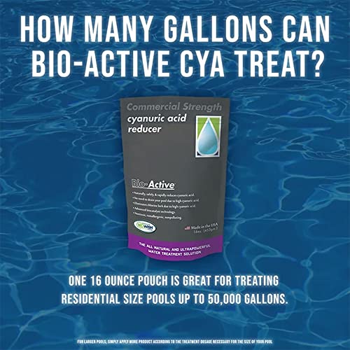 Bio-Active Ba-Car-08 Non Polluting 100-Percent Cyanuric Acid Reducer Powder For Commercial And Residential Swimming Pools, 16 Ounces #TOP2