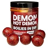 StarBaits Bouillettes Performance Concept Boilies in Dip Hot Demon - 150g - D.24mm - Rouge - 62731