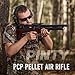 PINTY PCP Pellet Air Rifle, .22 Caliber Pellet Air Gun for Adults, Single Shot PCP Airgun with 880 fps Velocity, 5.5mm High Power Air Gun Rifle for Picatinny Rail with Pressure Gauge 9 Shot Magazine