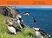 Puffins (National Geographic Kids Readers, Pre-Reader)