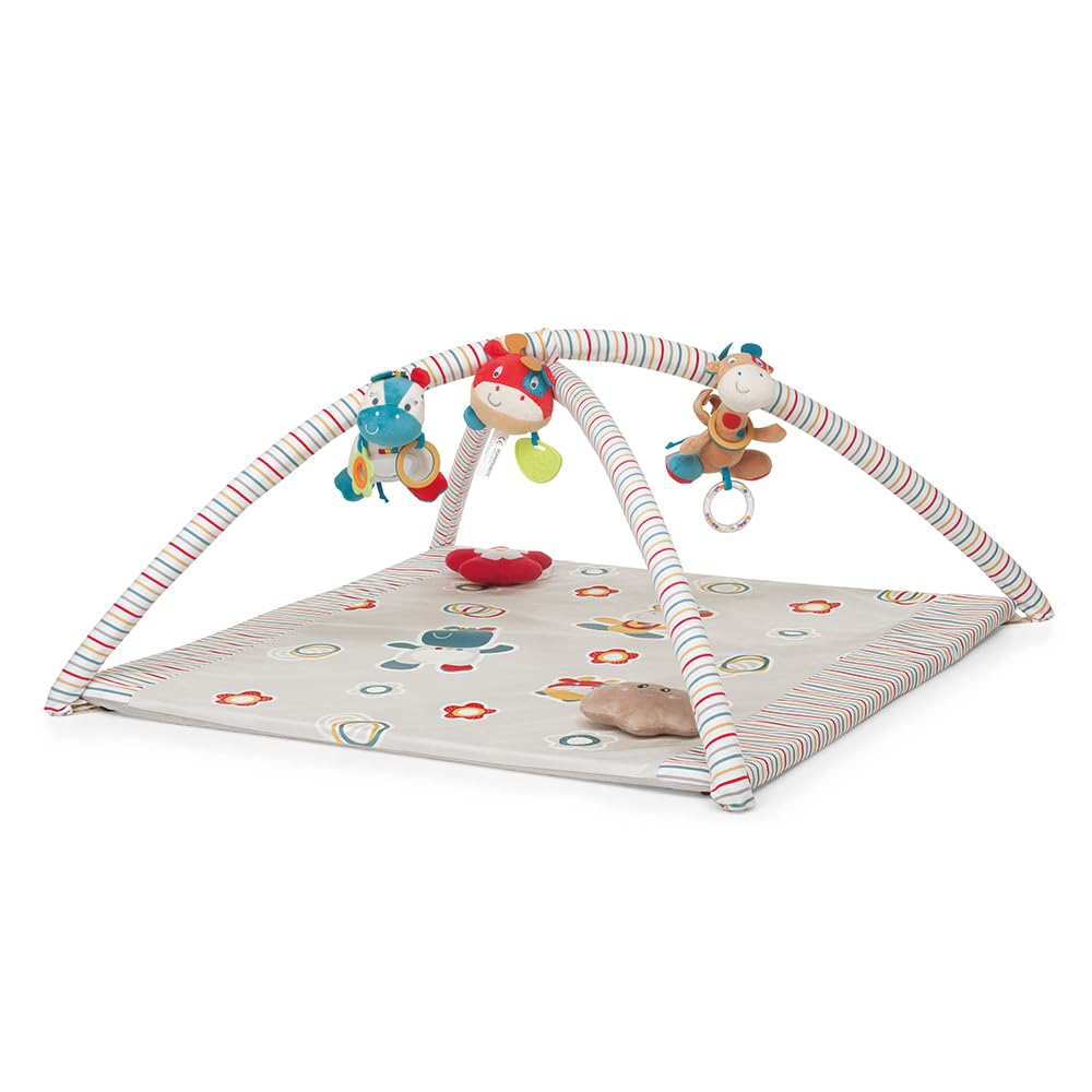 Foppapedretti Trainer Palestrina, Circus