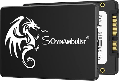 Somnambulist SSD 480GB SATA III 6Gbs Disco duro interno de estado sólido de 2.5 0.276in (0.28) Velocidad de lectura de hasta 550Mbs 3D NAND para