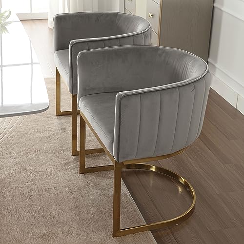 DM Furniture Modern Velvet Dining Chairs Set of 4 Contemporary Kitchen & Dining Room Chairs with Arms Upholstered Barrel Metal Frame 22" Wide Accent Chairs for Bedroom/Living Room, Grey