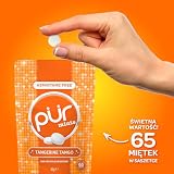 PUR Mints | Miętówki bez aspartamu | Słodzone ksylitolem | Bez cukru, wegańskie, bezglutenowe | Naturalny smak mandarynki | 65 szt. (3-pak)