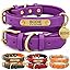 Purple collor without leash