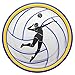 Volleyball Party Pack (100 Pieces for 16 Guests) - Sports Themed Birthday Party Supplies, Plates and Napkins, Party Decor, Blue Orchards