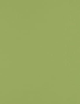 LUXPaper 8.5" x 11" Paper | Letter Size | Avocado Green | 70lb. Text | 250 Qty