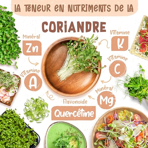 ZenGreens® - Graines de coriandre bio - Choisissez entre 10g, 200g et 500g - Graines de coriandre avec un taux de germination supérieur à 97% - Microgreens – vue 4