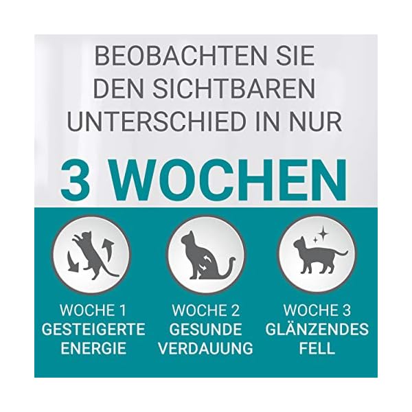 PURINA ONE BIFENSIS Urinary Care Katzentrockenfutter: reich an Huhn & Weizen, für gesunde Harnwege, Nieren, Haut, schönes Fell, 6er Pack (6 x 1.5 kg) – Bild 7