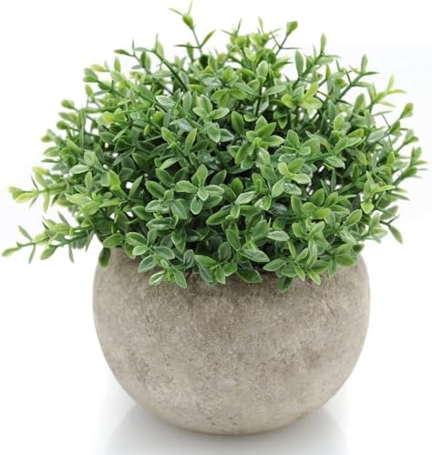 Velener Mini Sage Green Potted Boxwood Topiar...