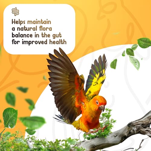 Sacred-Valley-Pets-Parrot-Probiotic-Prebiotic-and-Postbiotic-Pet-Bird-Supplies-Used-with-Water-Bird-Vitamins-Budgie-Treats-Baby-Bird-Formula-Bird-Medicine-Mix-in-Parrot-Food